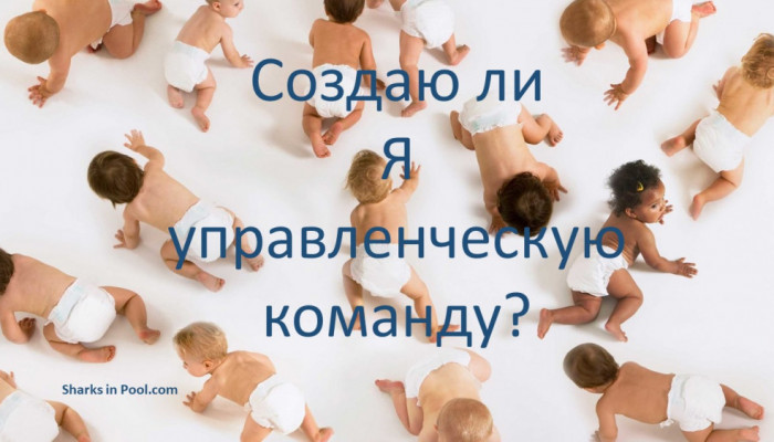 Развитие управленческих команд