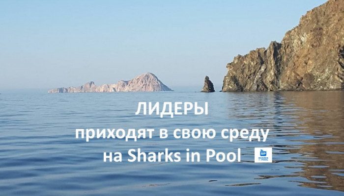 МЕСТО СИЛЫ РУКОВОДИТЕЛЕЙ