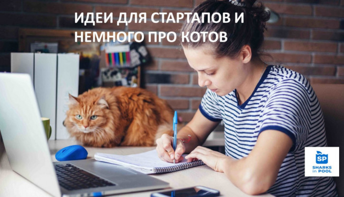 ИДЕИ ДЛЯ СТАРТАПОВ