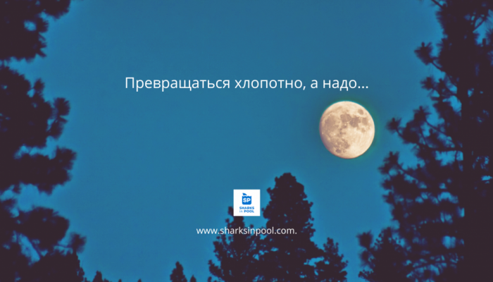ОПЫТ ПОИСКА CEO-1