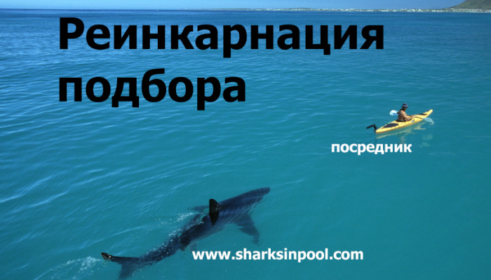 О ледниковом периоде для посредников и прямых контактах в подборе руководящих кадров